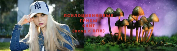 каннабис Богданович