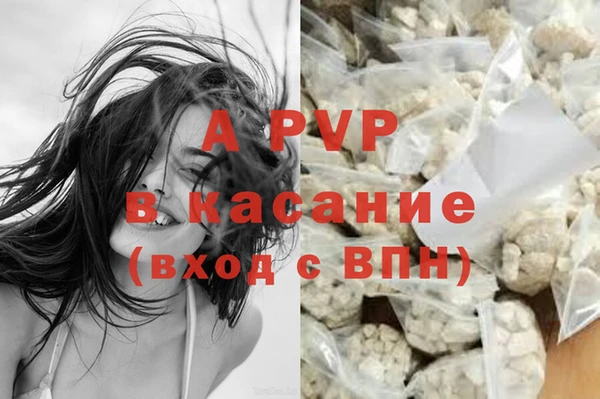 каннабис Богданович