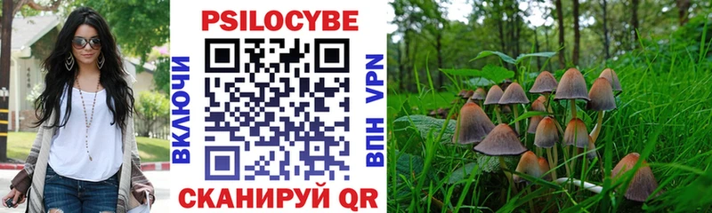 хочу наркоту  Медынь  Псилоцибиновые грибы Psilocybe 